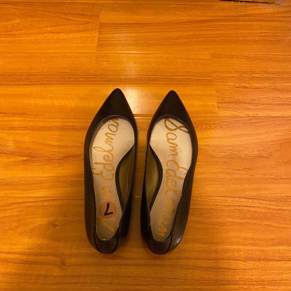Sam Edelman Rae Pointed Toe Flats - Picture 2 of 4